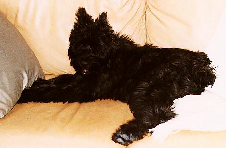 Riley